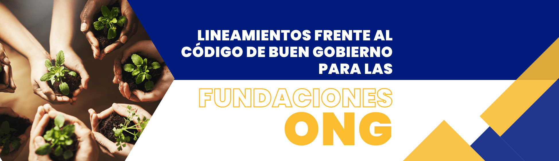 Manual Código de Buen Gobierno en una entidad Cooperativa.